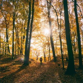 Autumn Hiking 101: Gear, Tips, and Basics