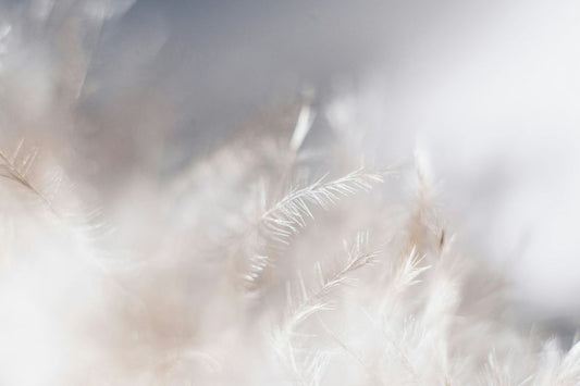 heated jacket vs down jacket