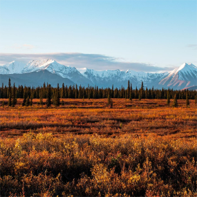 Alaska Summer Trip